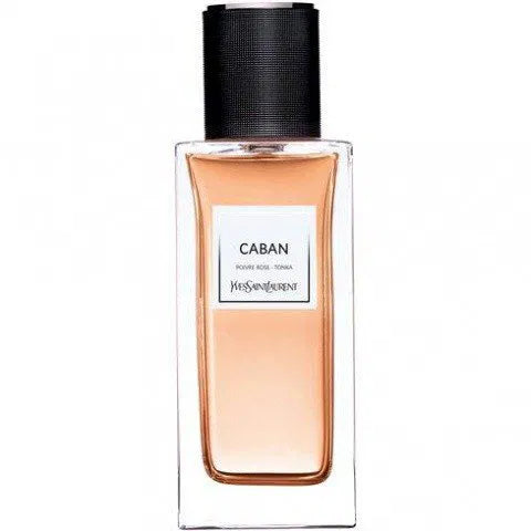 YSL Caban