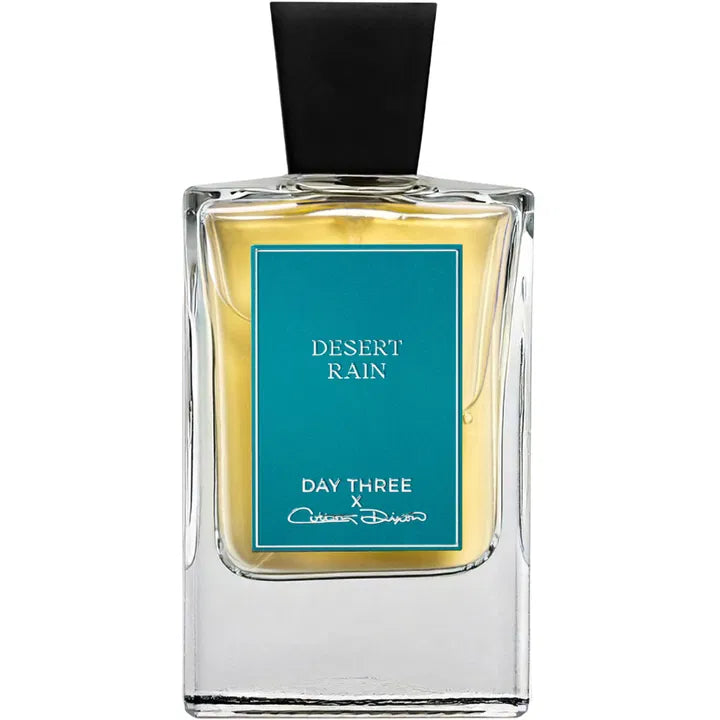 Day Three Desert Rain