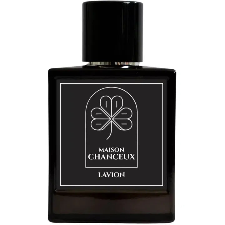 Chanceux Lavion